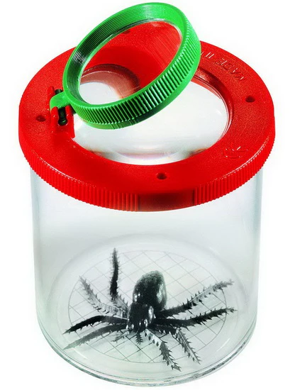 Boîte Loupe pour observation d'insectes