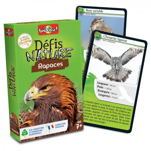 Cartes Défis Nature Rapaces