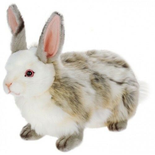 Peluche Lapin 35cm
