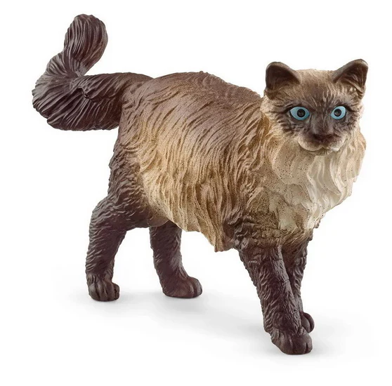 Miniature 1