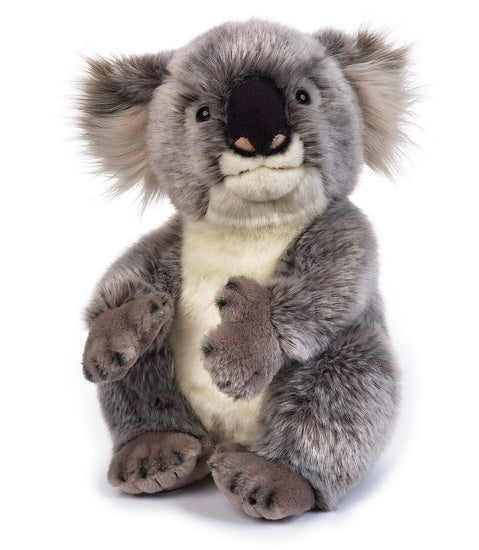 Peluche koala 25 cm