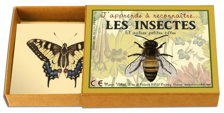 J'apprends à reconnaître les insectes